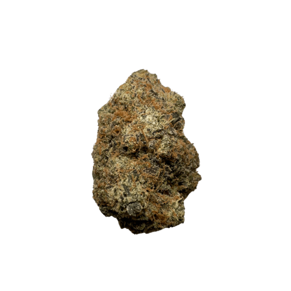 Gelatti Strain