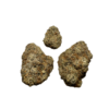 Gelatti Strain - Image 2