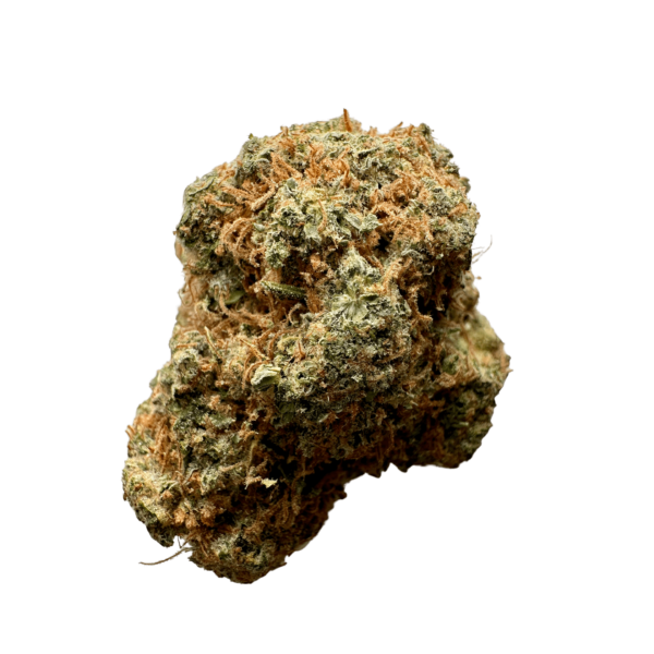 Amnesia Haze Strain