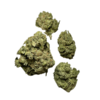 Gelato 33 Strain - Image 2