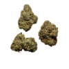 Stardawg Strain - Image 2