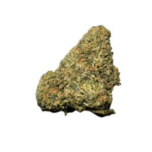 SS1 Hi-Tech Strain