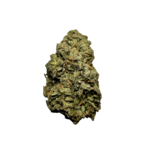 Z33 Strain