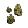 Z33 Strain - Image 2