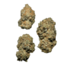 Platinum OG Strain - Image 2