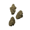 Zzapp Terp Traders Strain - Image 3