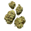 Super Silver Haze Strain - Image 2