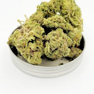 Apple fritter’s Strain