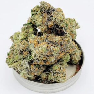 Captain’s Pink Strain