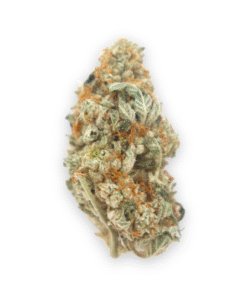 Buy Cookie Dawg in the US
