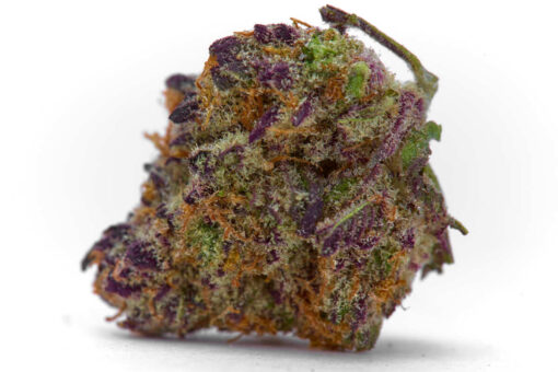 Buy God’s Gift Strain Online US