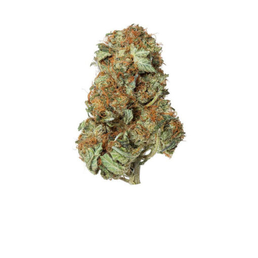 Buy MK Ultra Strain Online UK