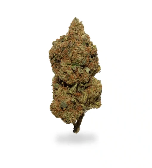 Buy White Rhino Strain Online US