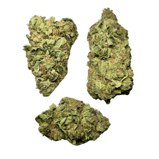 Trainwreck - Image 2