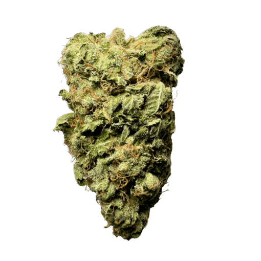 Trainwreck