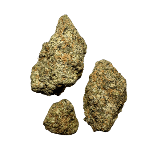 Black Cherry Gushers | Backpack Boyz - Image 2