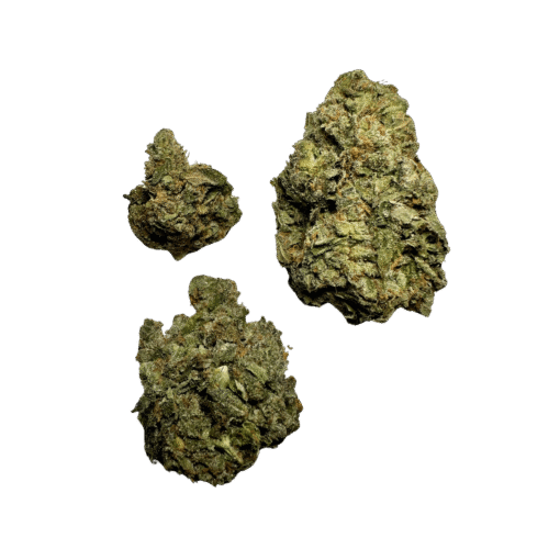 Z33 - Image 2